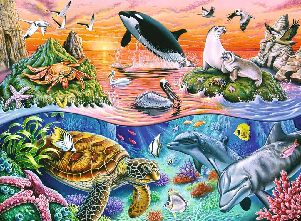 Puzzle: Beautiful Ocean