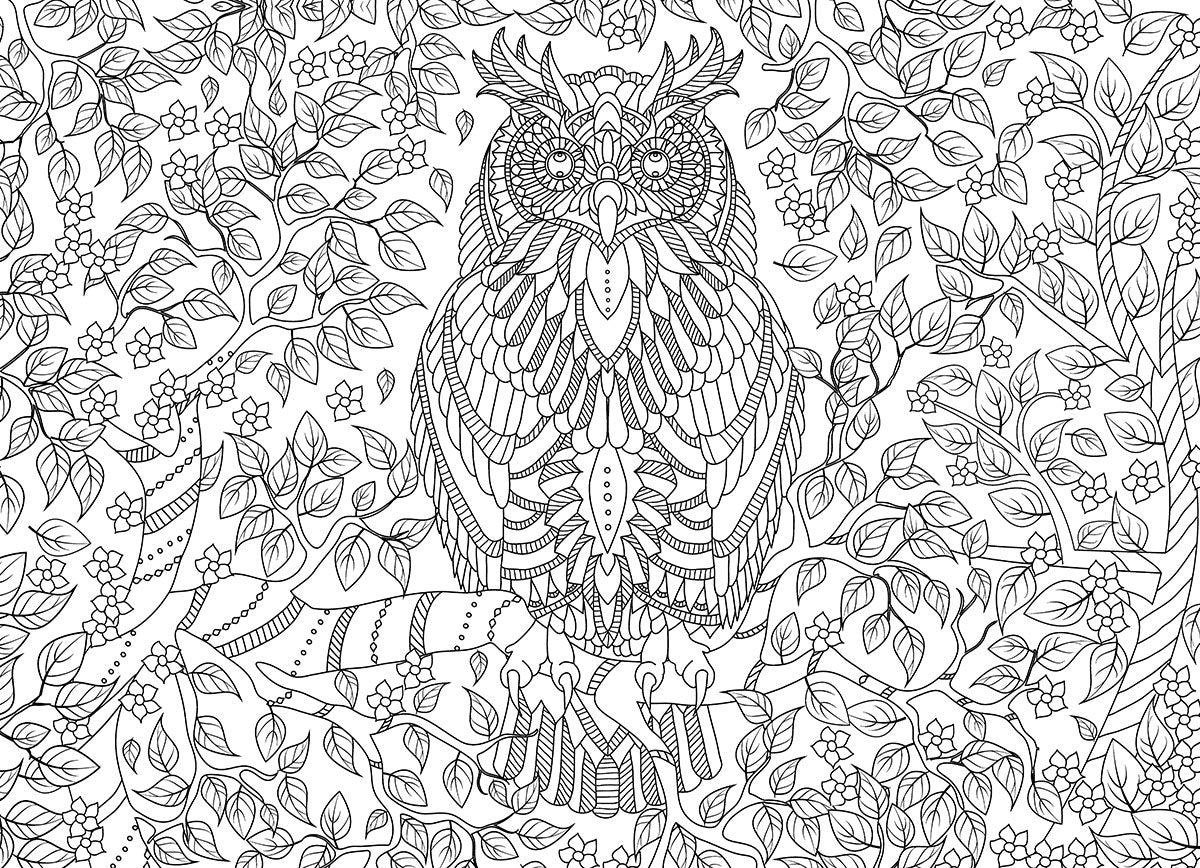 Puzzle: Color-Me Collection - Vibrant Wisdom