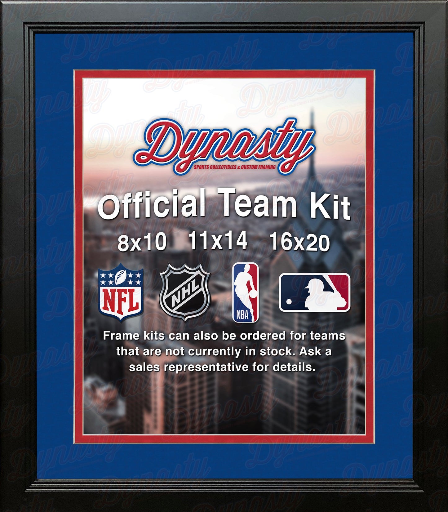 NBA Basketball Photo Picture Frame Kit - Detroit Pistons (Blue Matting, Red Trim)