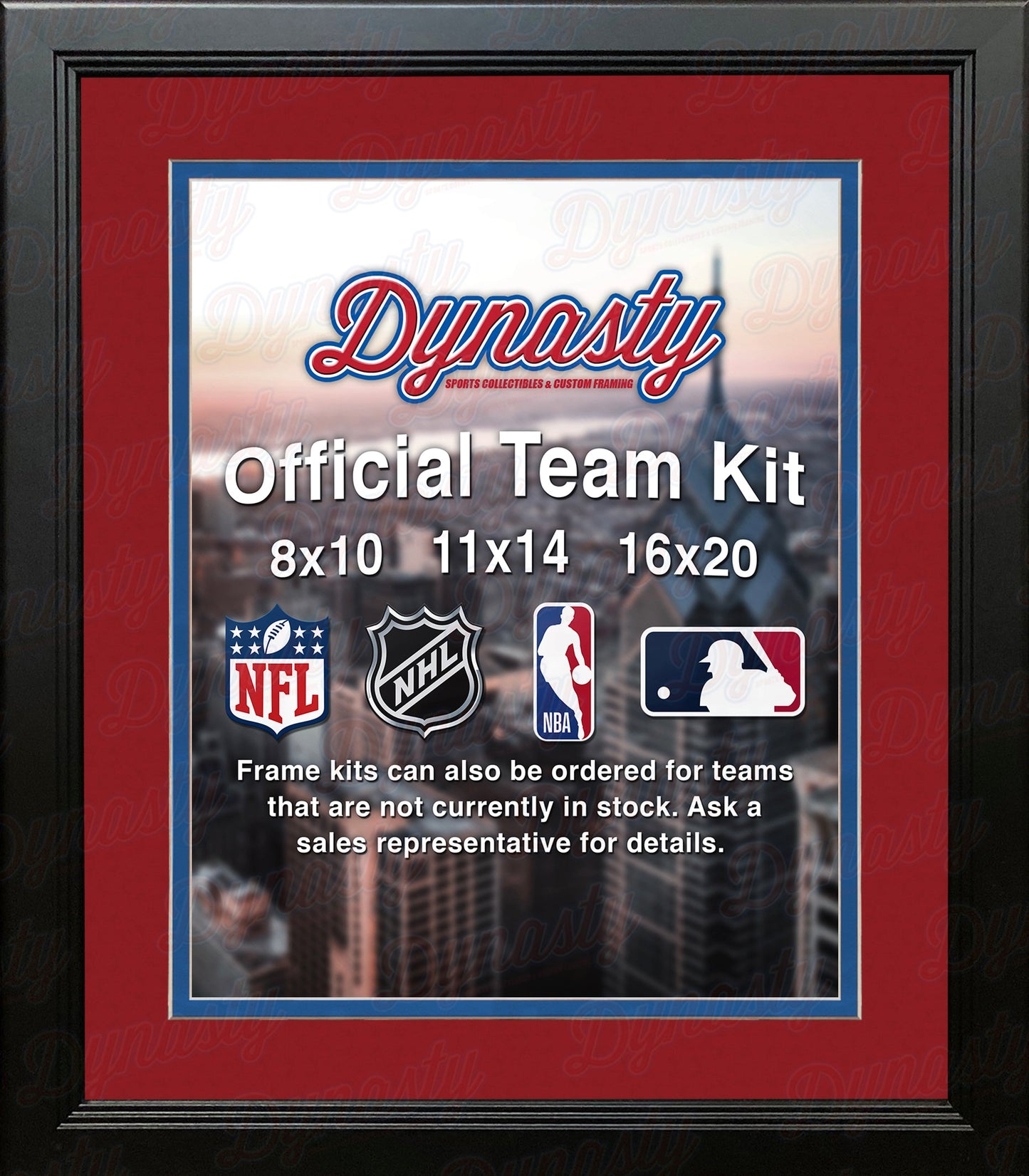 NBA Basketball Photo Picture Frame Kit - Detroit Pistons (Red Matting, Blue Trim)