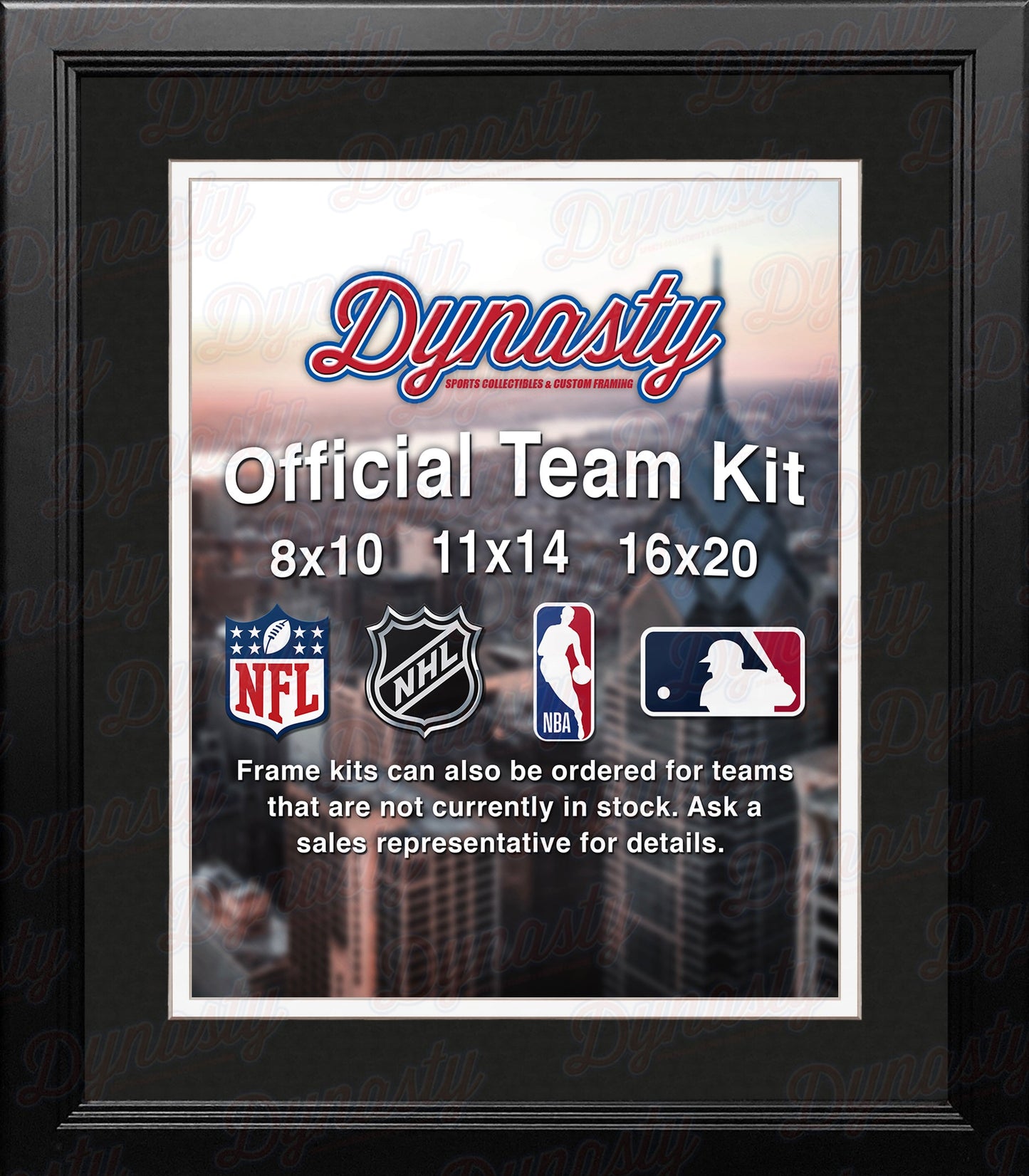 MLB Baseball Photo Picture Frame Kit - Chicago White Sox (Black Matting, White Trim)