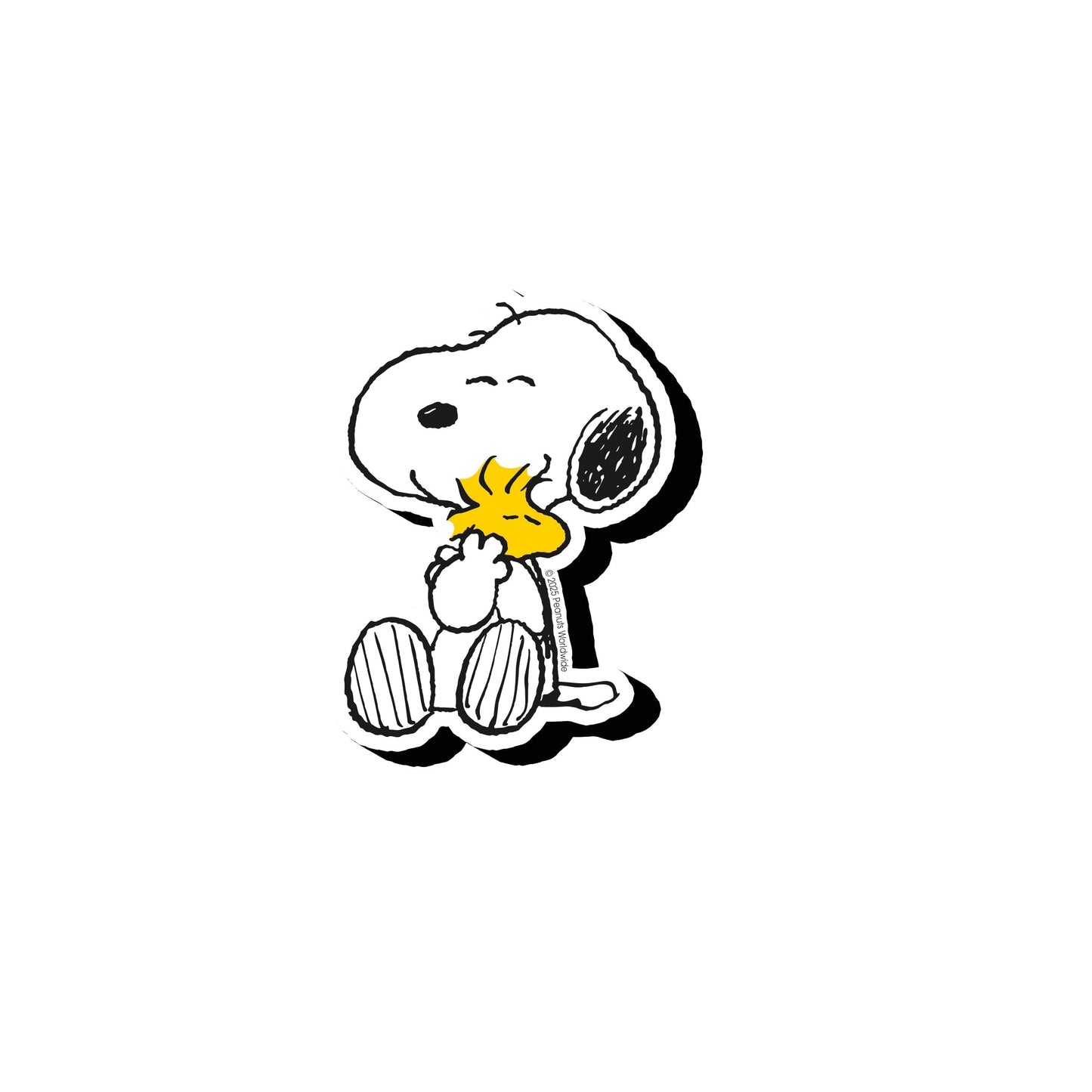 Aquarius Magnets: Funky Chunky Magnet - Peanuts - Hug