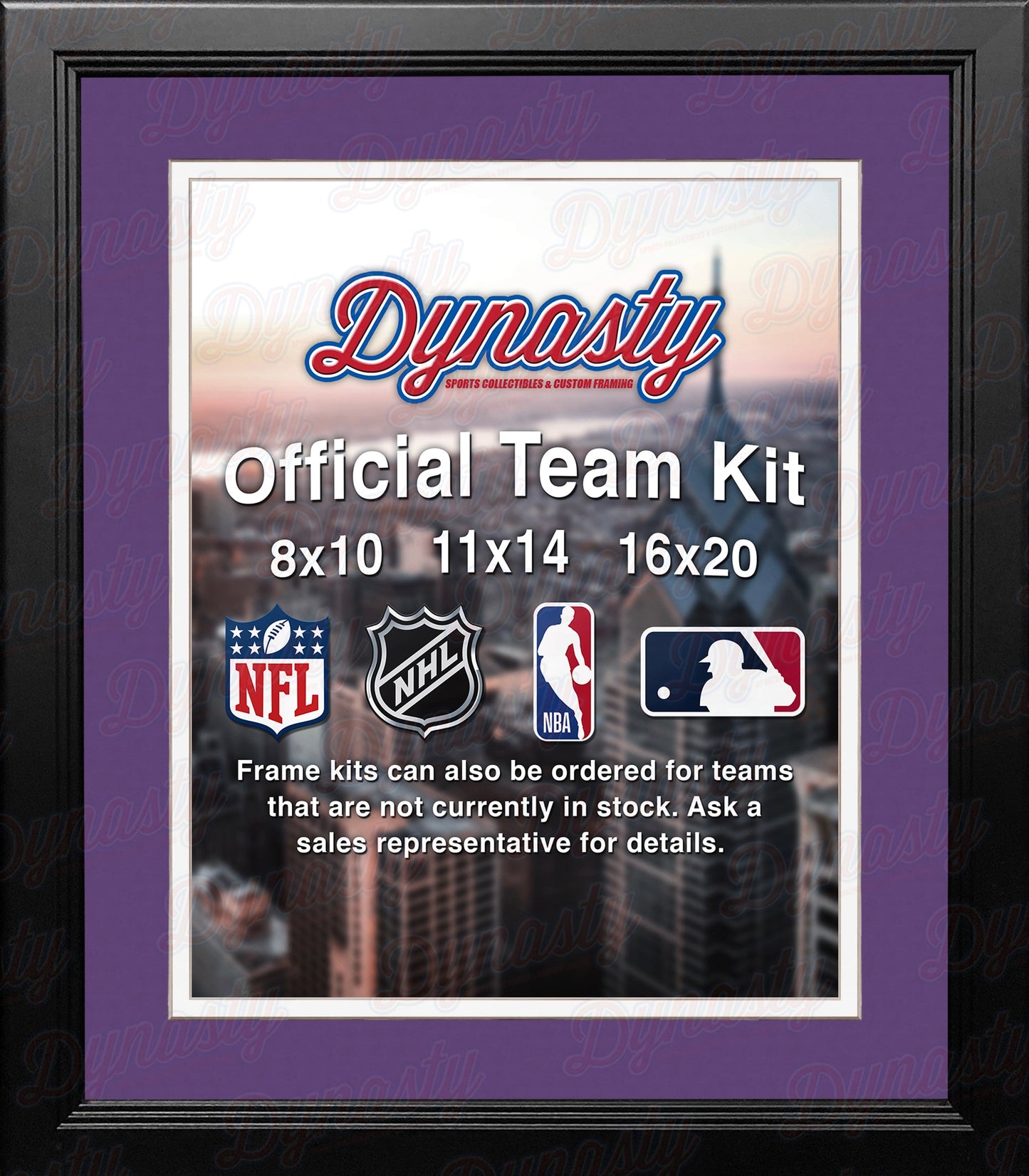 NBA Basketball Photo Picture Frame Kit - Charlotte Hornets (Purple Matting, White Trim)