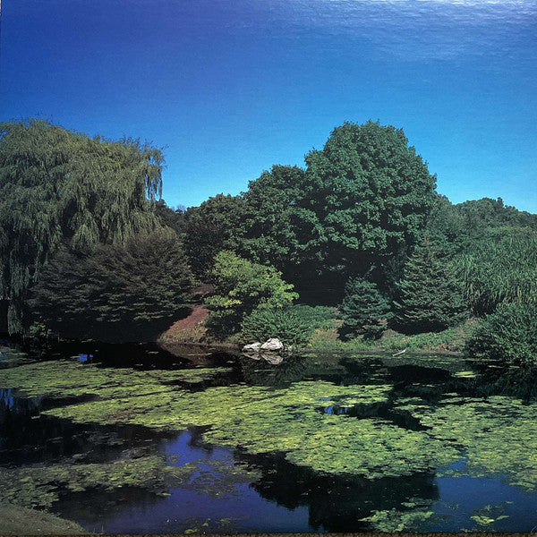 Shellac - Terraform 180G Vinyl LP Record