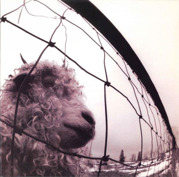 Pearl Jam – Vs. 180G Vinyl LP Record