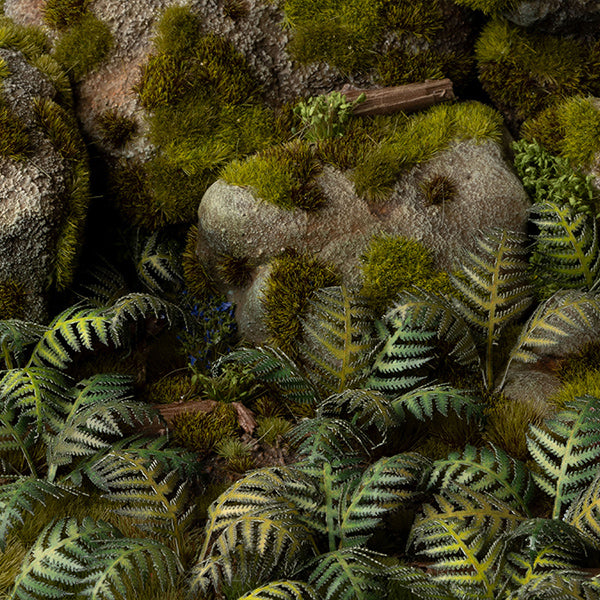 Gamers Grass Laser Plants: Bracken