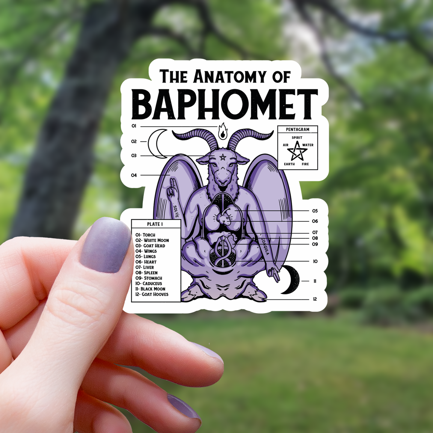 The Anatomy of Baphomet Dark Art Sticker - 3"