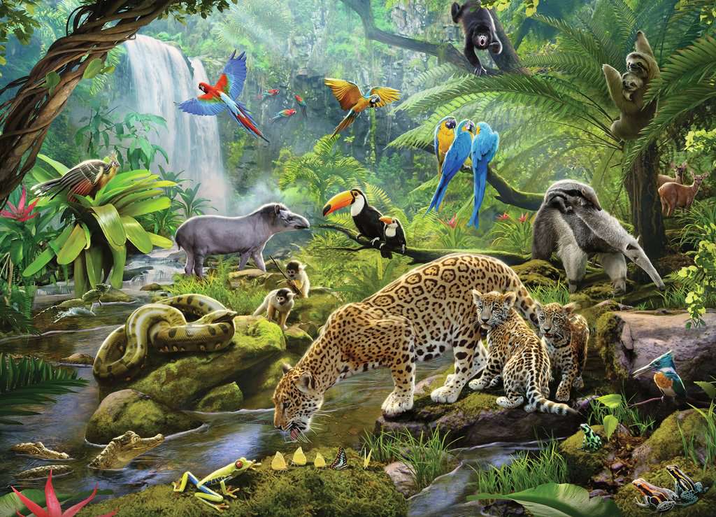 Puzzle: Rainforest Animals