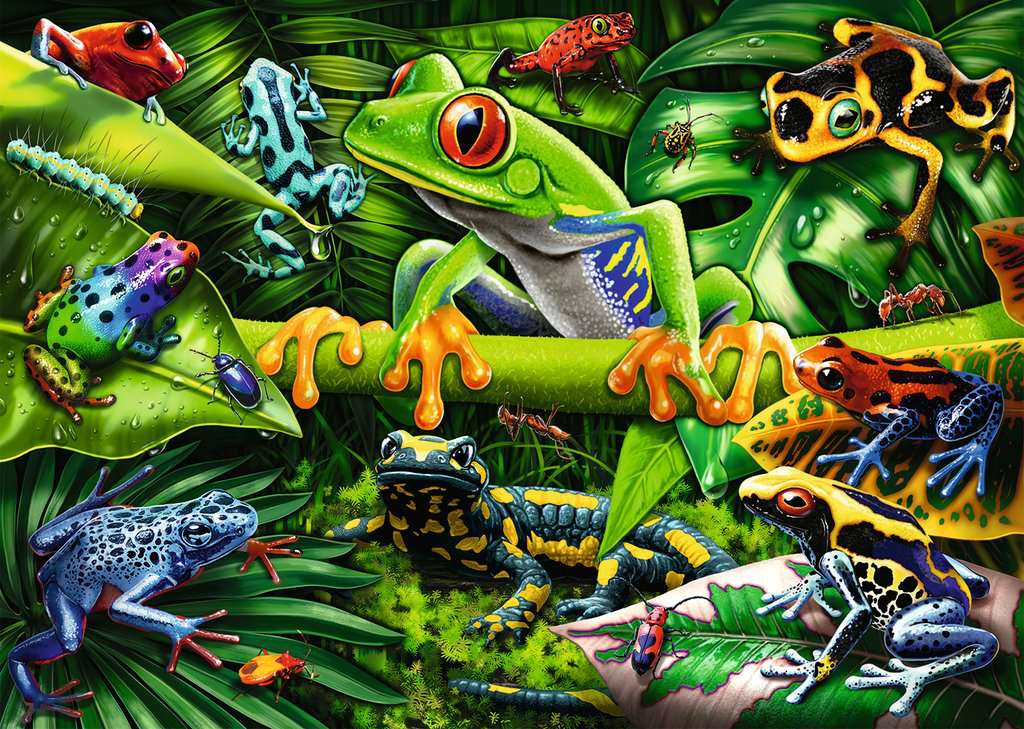 Puzzle: Amazing Amphibians