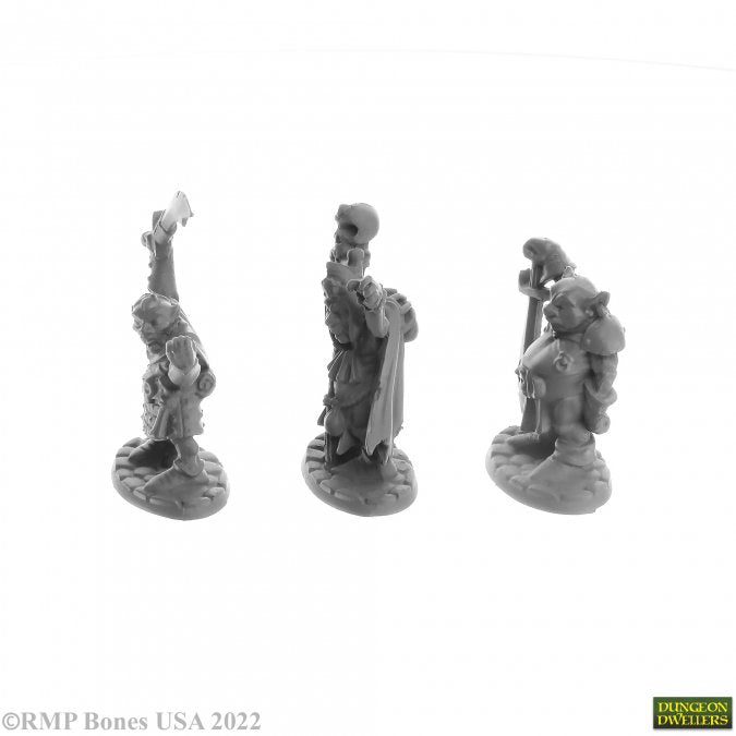 Bones Dungeon Dwellers: Goblin Elites (3)