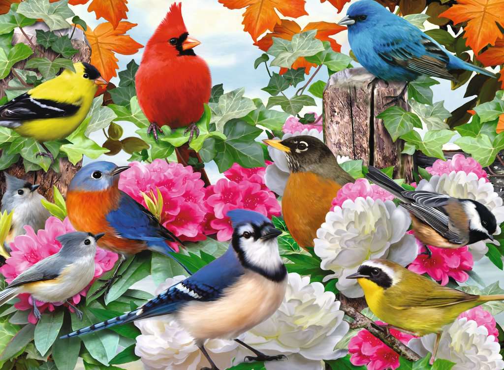 Puzzle: Garden Birds