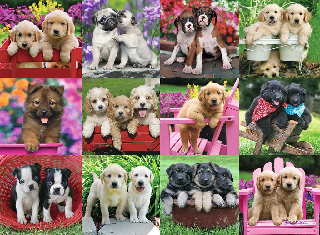 Puzzle: Puppy Pals