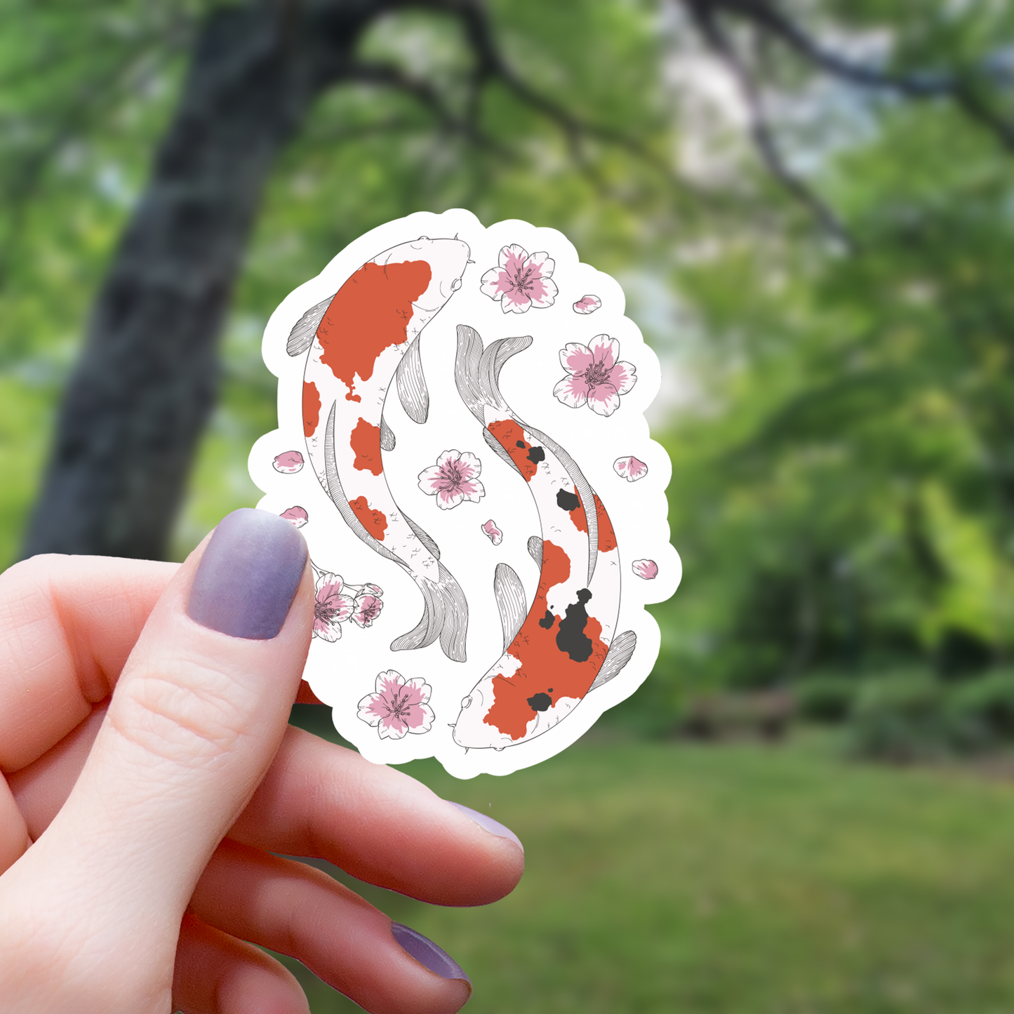 Koi Fish Sakura Blossom Sticker - 3"