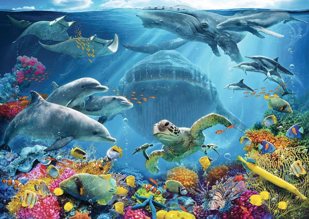 Puzzle: Large Format - Life Underwater