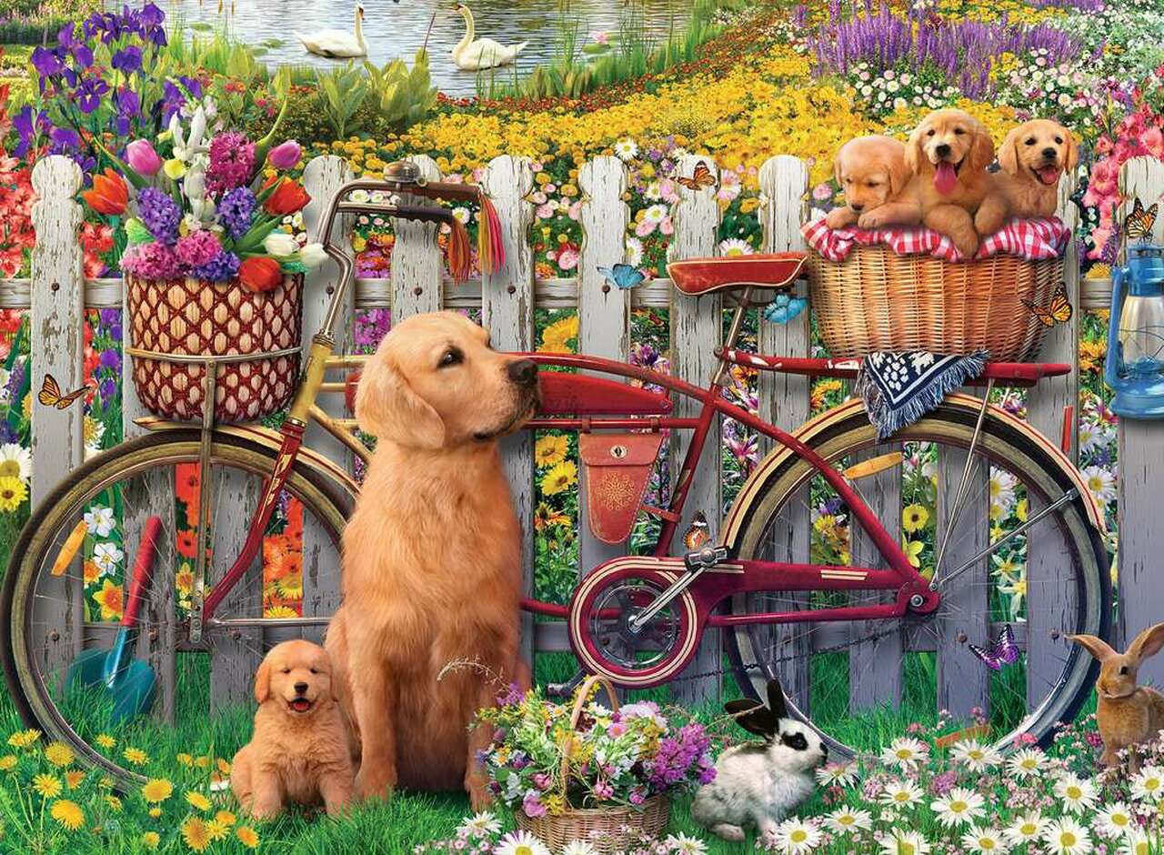 Puzzle: Cute Dogs