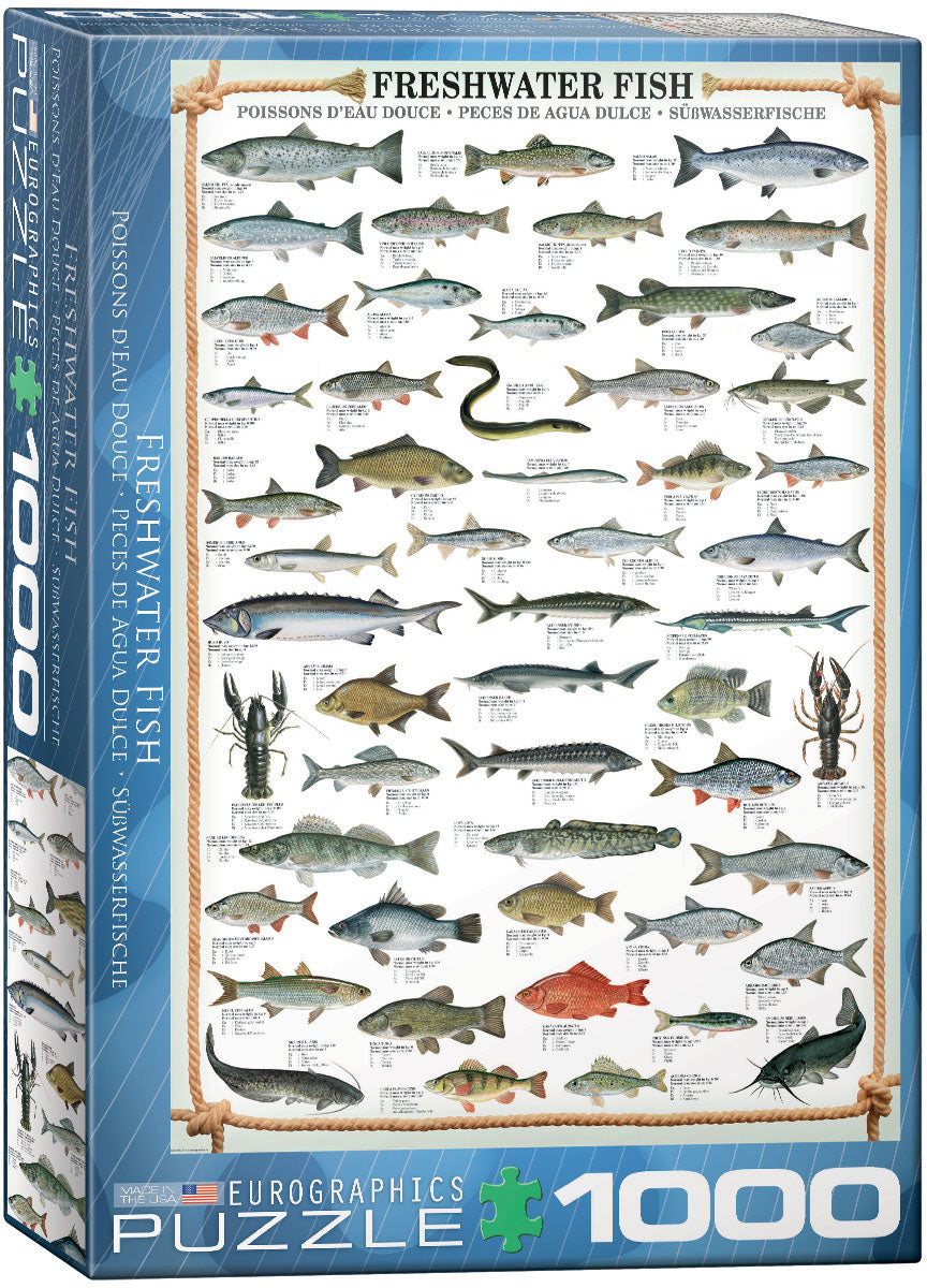 Puzzle: Animal Charts - Freshwater Fish