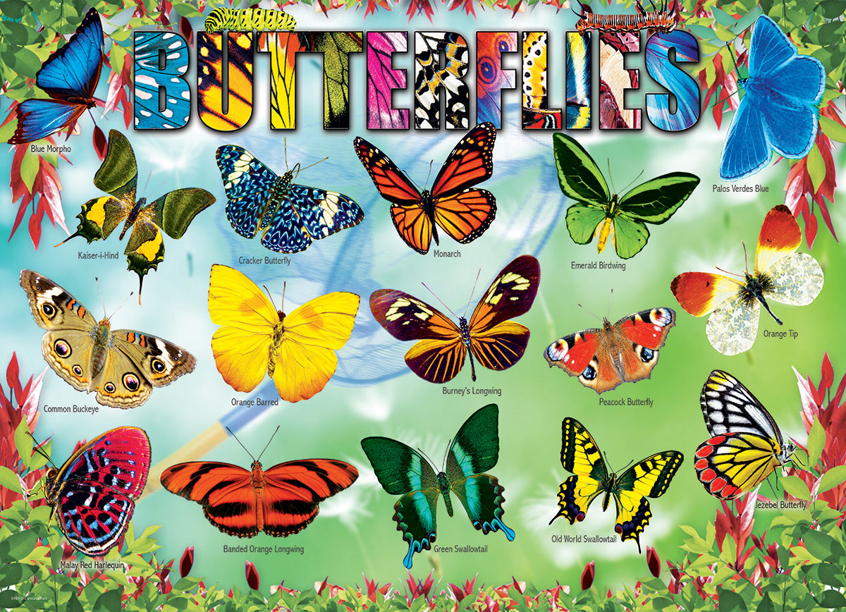 Puzzle: Educational Charts for Kids - Garden Butterflies