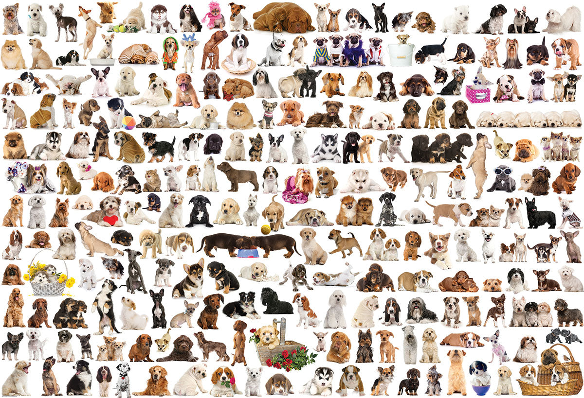 Puzzle: The BIG Puzzle Collection - The World of Dogs