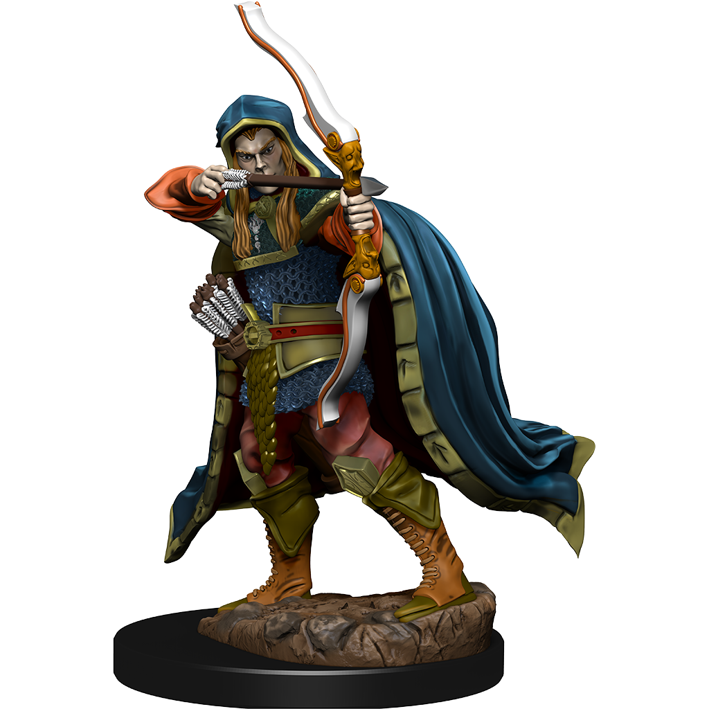 D&D: Icons of the Realms - Elf Rogue Male