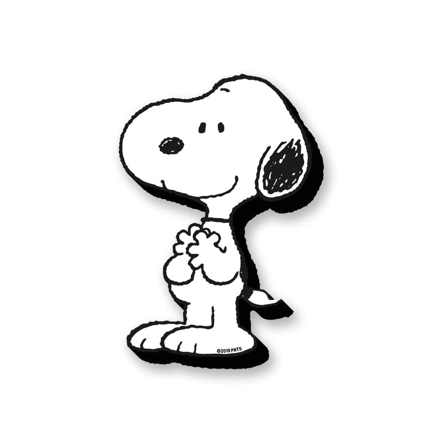 Aquarius Magnets: Funky Chunky Magnet - Peanuts - Snoopy