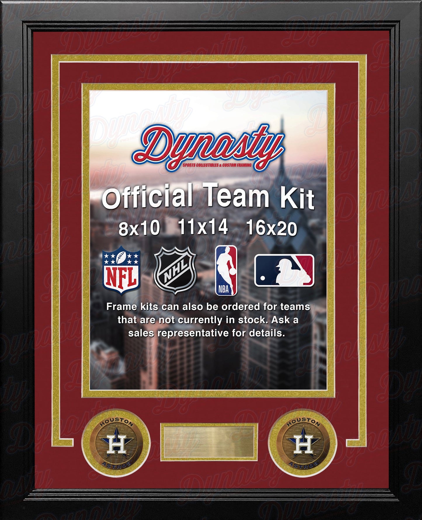 MLB Baseball Photo Picture Frame Kit - Houston Astros (Brick Red Matting, Gold Trim)