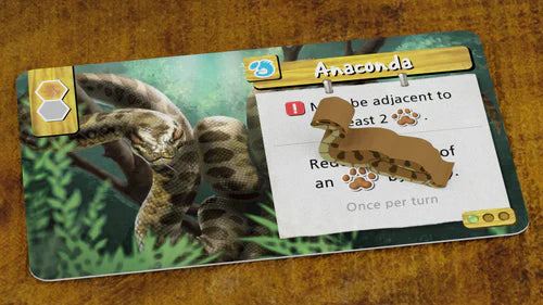 Life of the Amazonia
