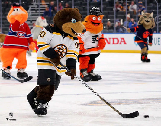 Blades Skating on the Ice Boston Bruins 8" x 10" Mascot Photo