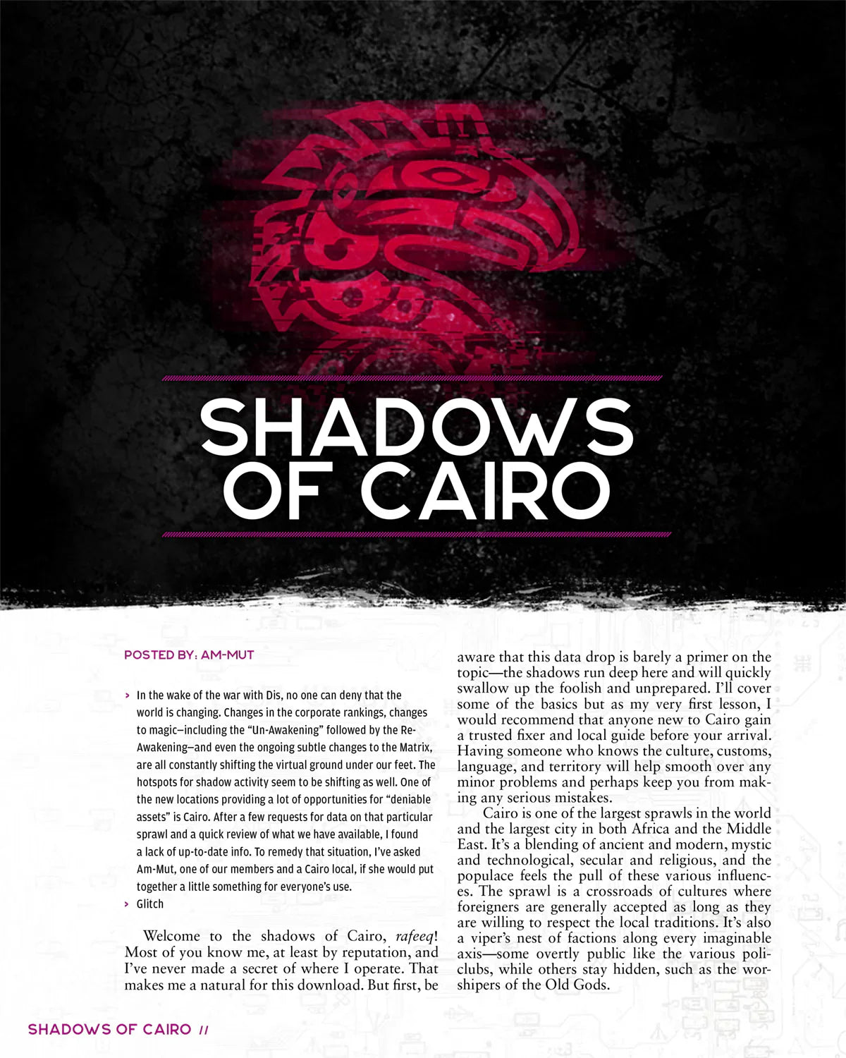 Shadowrun RPG: Risks & Rewards (6E)