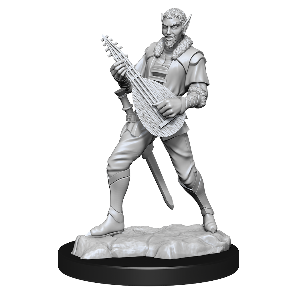 Critical Role: Pallid Elf Rogue and Bard Male