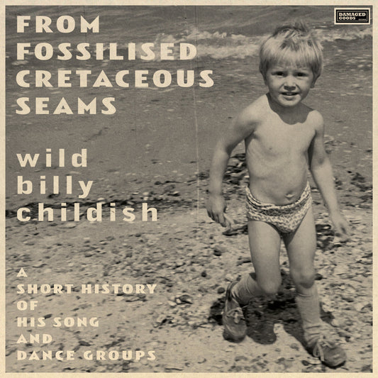 Billy Childish - From Fossilised Cretaceous Seams 2x Vinyl LP Record