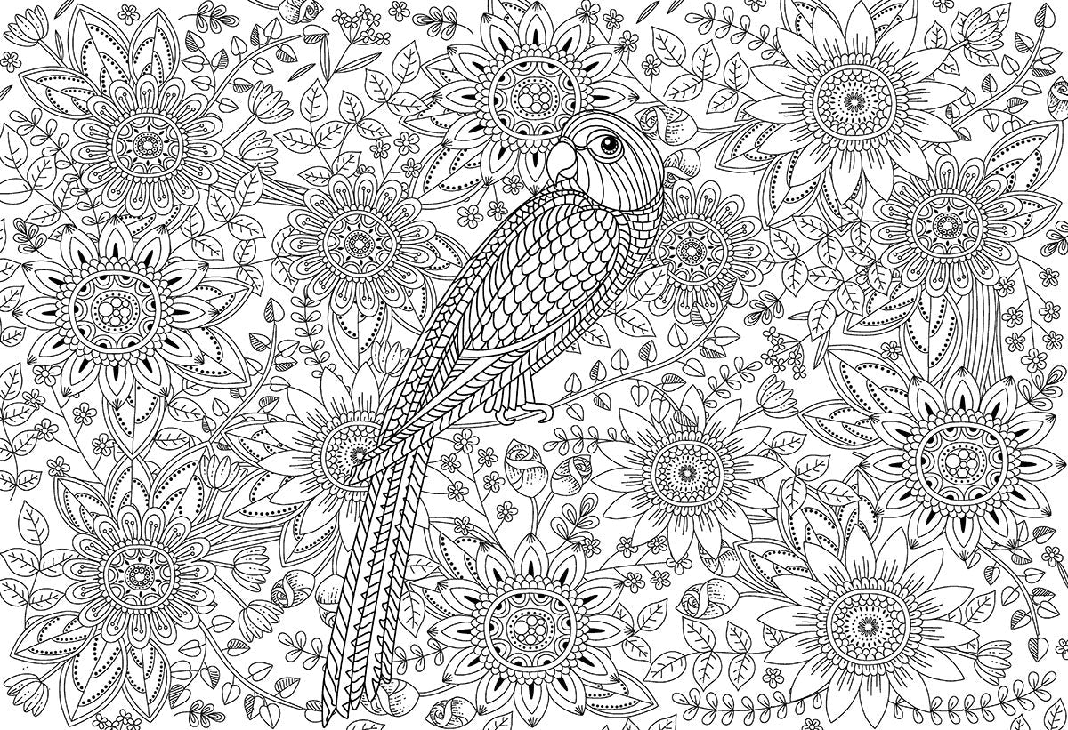 Puzzle: Color-Me Collection - Beautiful Garden