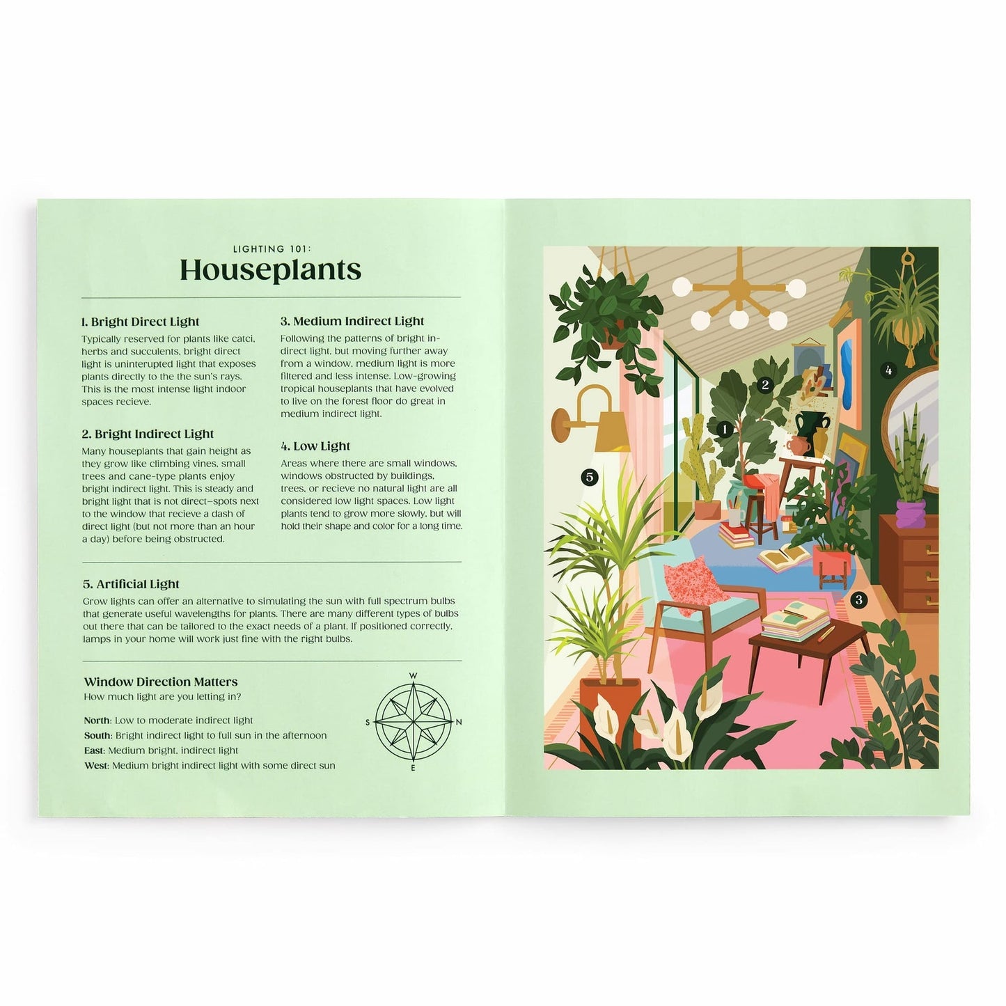 Galison Puzzles: Book Puzzle - 500 Pieces - Lighting 101 - Houseplants