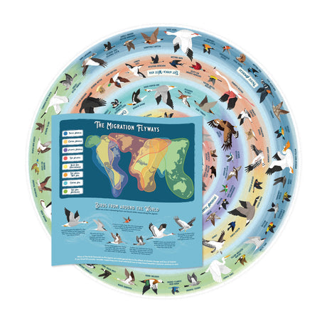 Ridley's Games Puzzles: Jigsaw Puzzle - 1000 Pieces - Bird Lover's