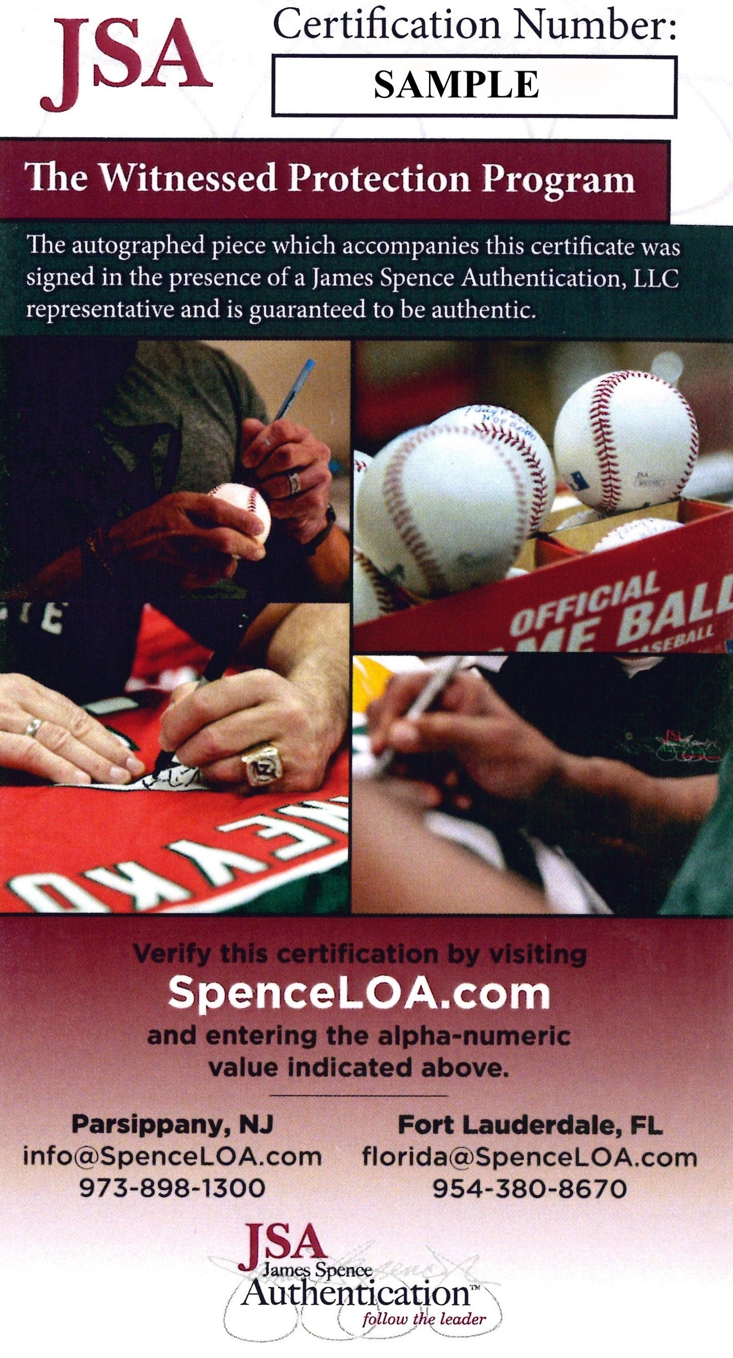 Brad Lidge & Carlos Ruiz Philadelphia Phillies World Series Autographed 16x20 Framed Photo - JSA COA