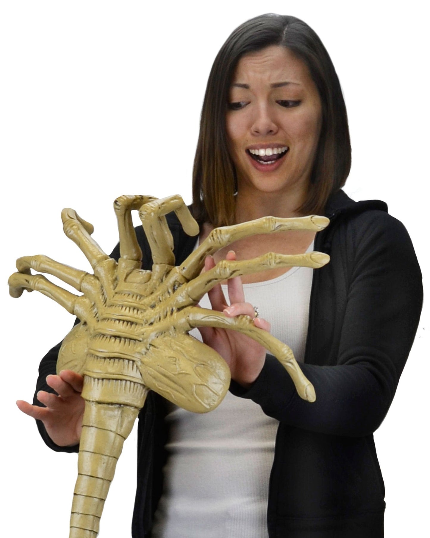 Alien: Facehugger Life Size Foam Replica