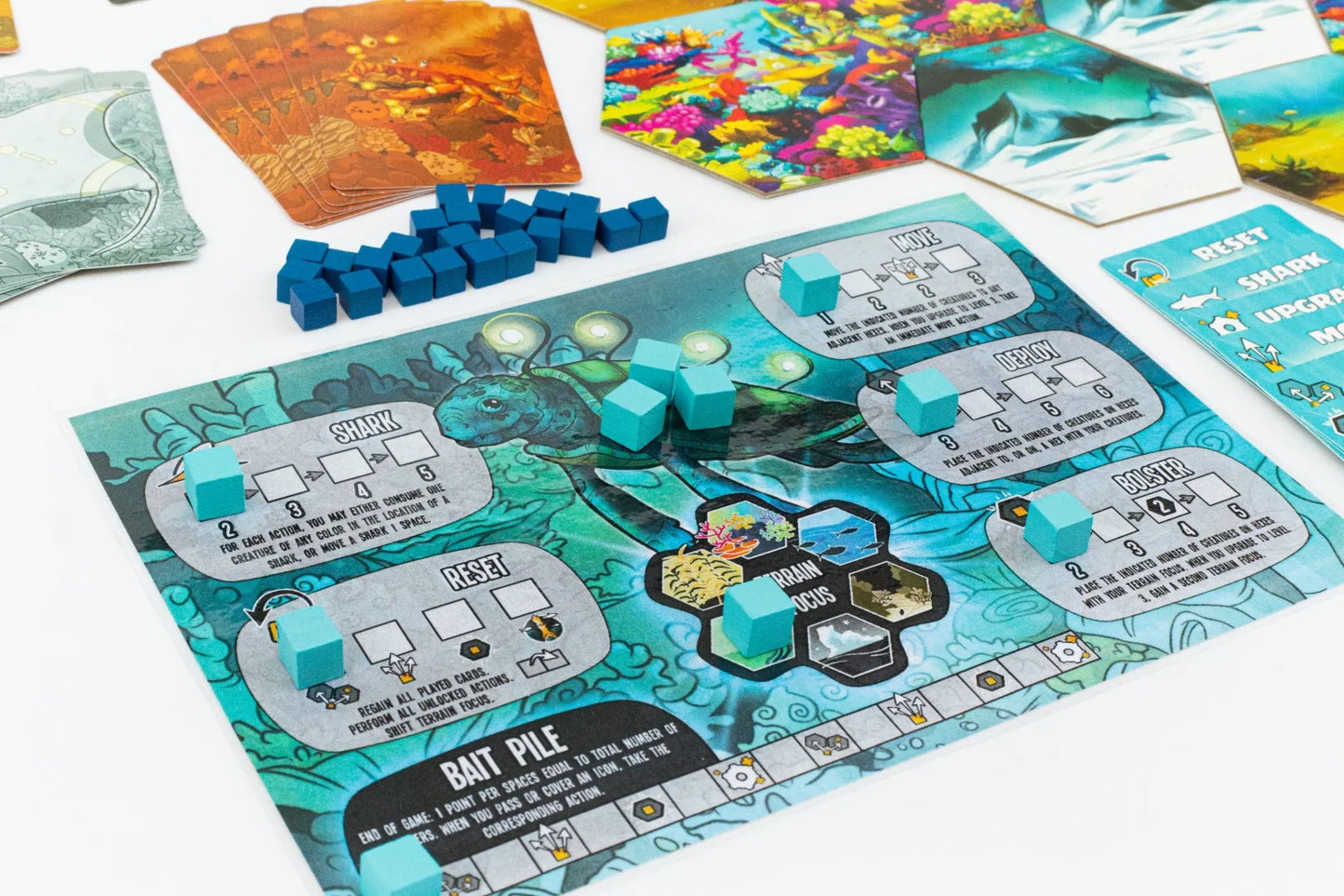Kingdoms of the Deep