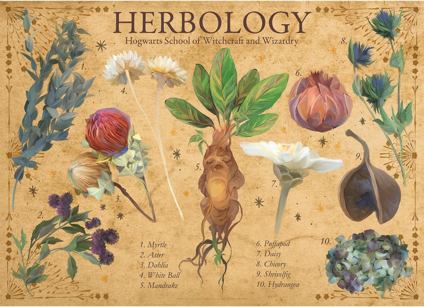 Aquarius Puzzles: Harry Potter - Herbology