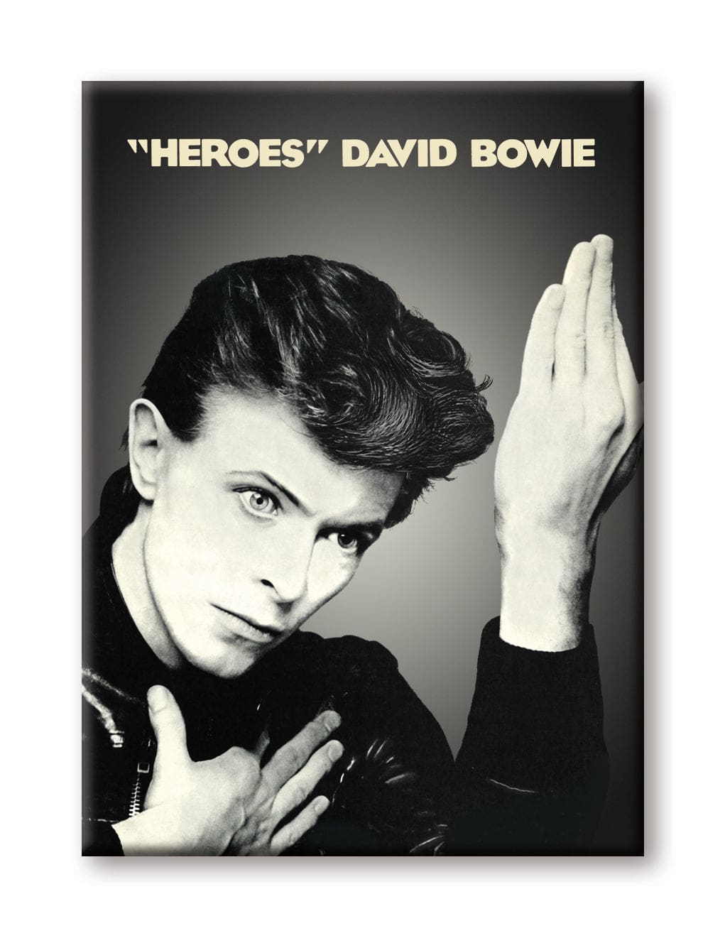Aquarius Magnets: Flat Magnet - David Bowie - Heroes