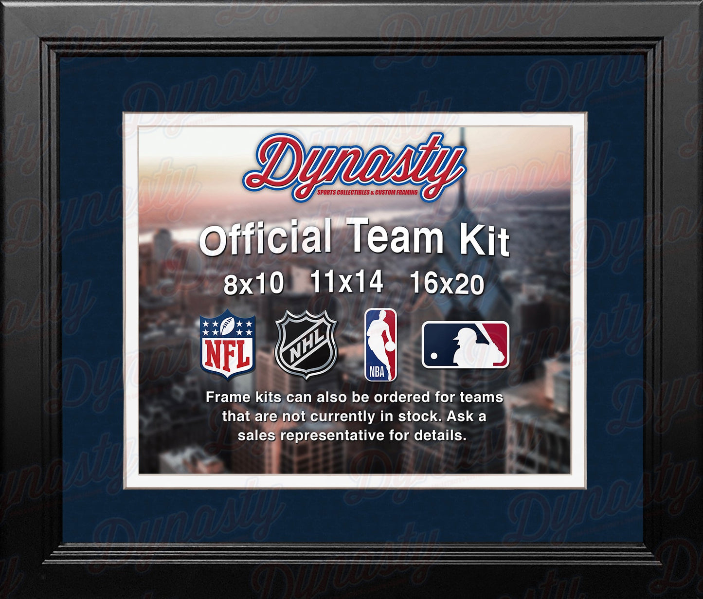 MLB Baseball Photo Picture Frame Kit - Minnesota Twins (Navy Matting, White Trim)