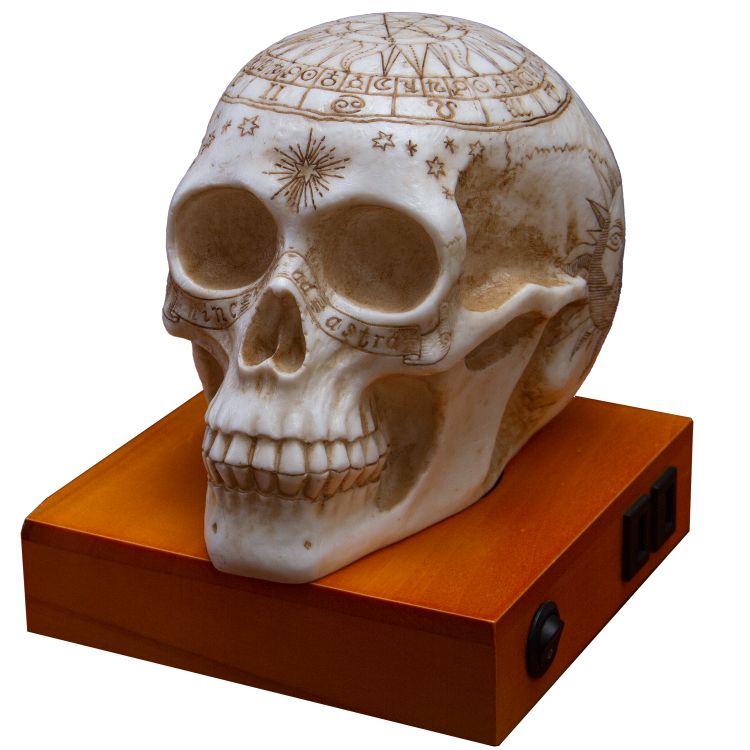 Astrology Skull Lamp