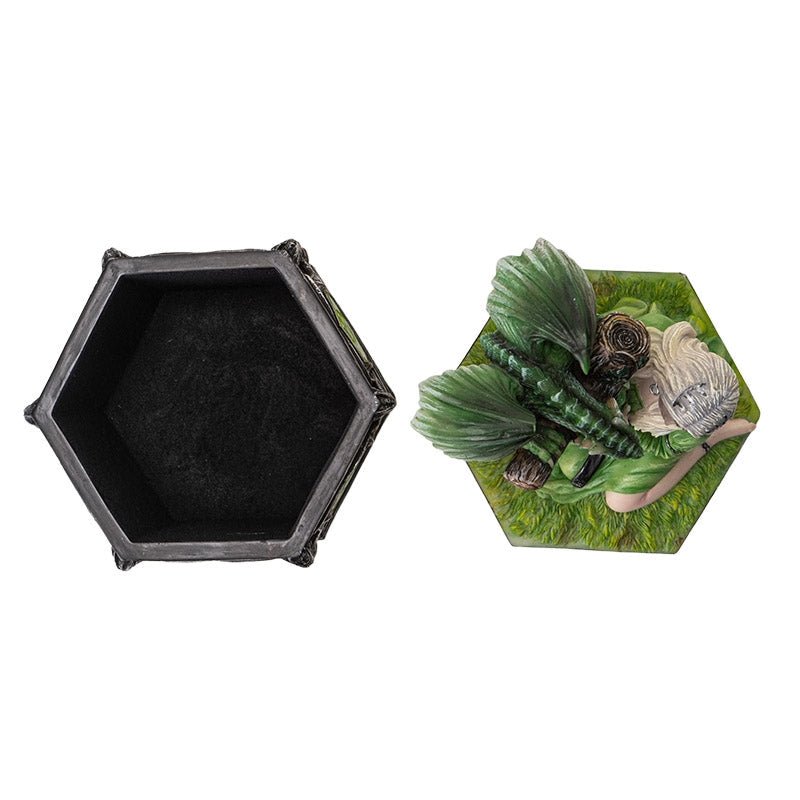 Dragon Friendship Box: Summer