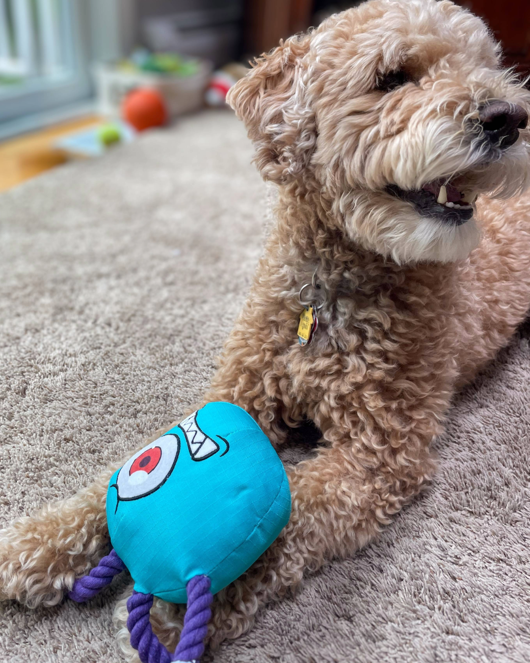 Paw-lymorph Dog Toy: The BeSlobber