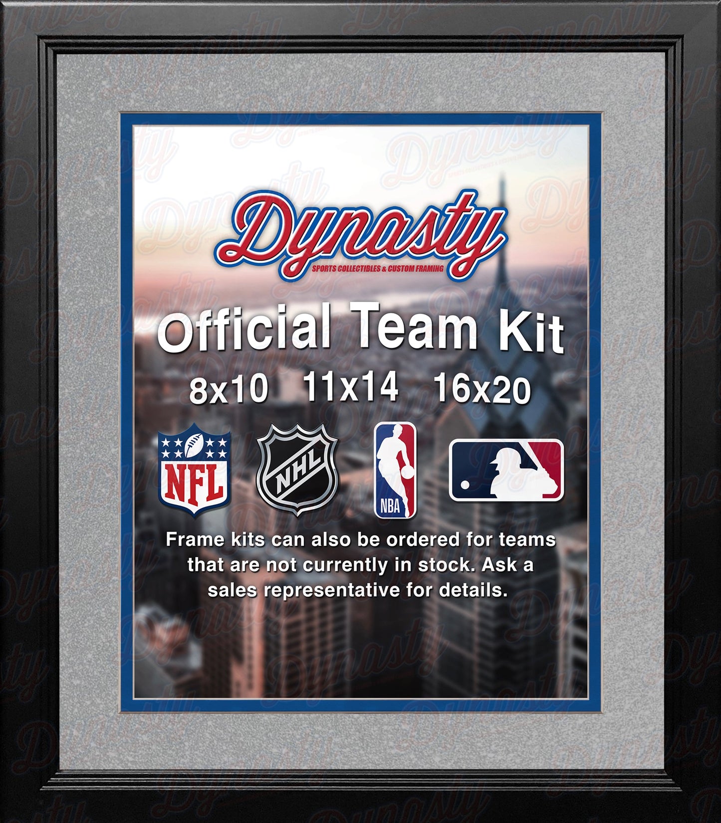 NBA Basketball Photo Picture Frame Kit - Orlando Magic (Silver Matting, Blue Trim)