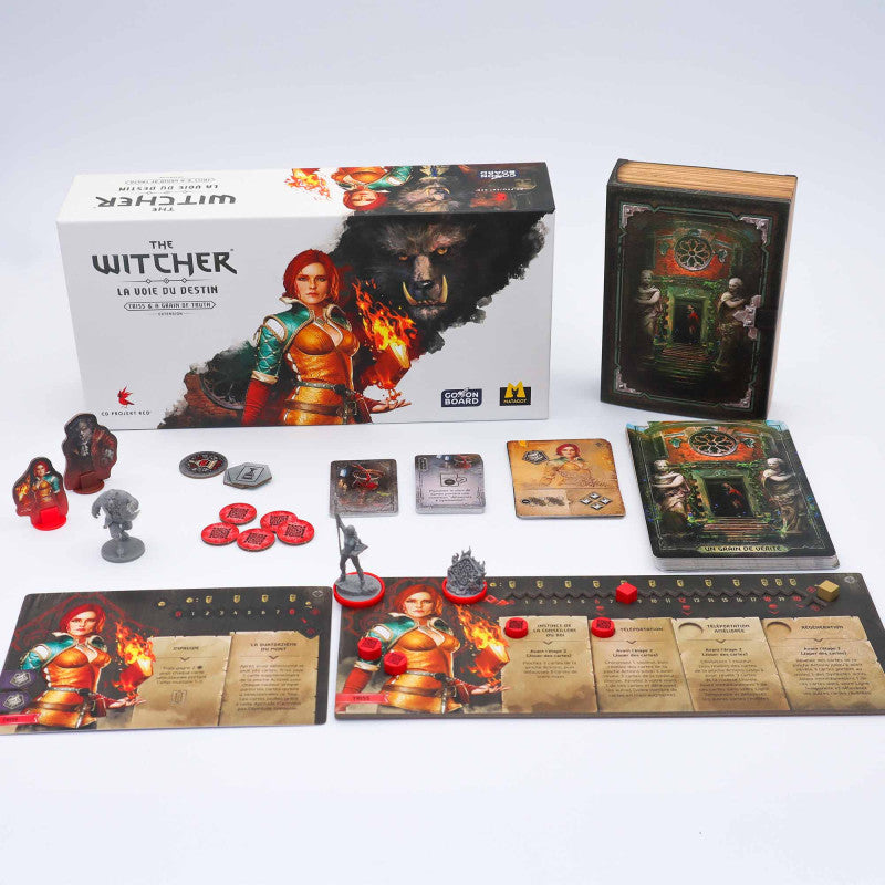 The Witcher: Path of Destiny - Triss & A Grain of Truth