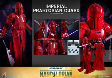 Imperial Praetorian Guard Sixth Scale Figure by Hot Toys