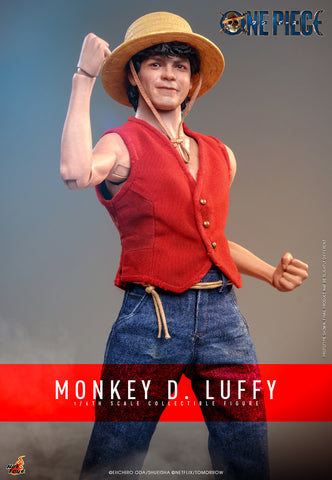 Monkey D. Luffy Sixth Scale Figure by Hot Toys