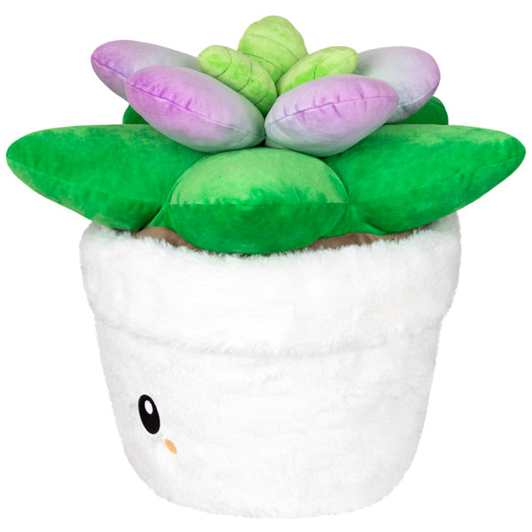 Squishable Succulent (Standard)