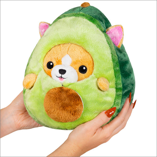 Squishable Corgi in Avocado (Undercover)