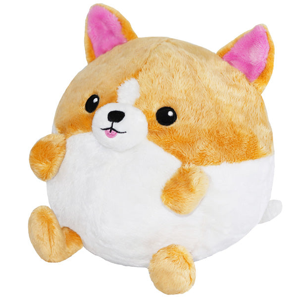 Squishable Corgi in Avocado (Undercover)