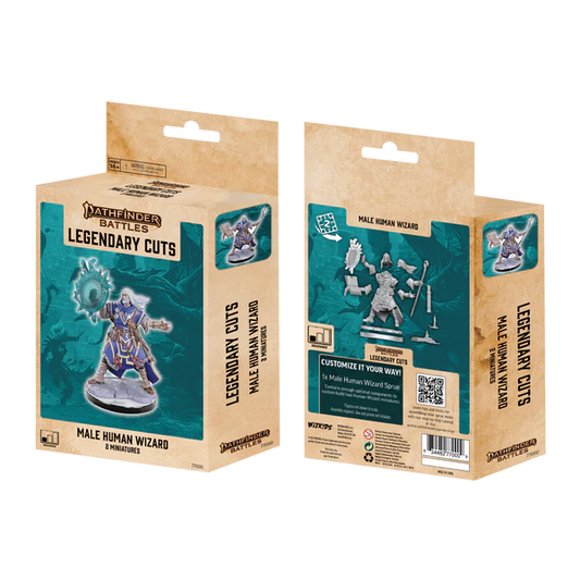 D&D Frameworks Male Human Wizard Mini
